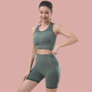 Z & D Lingerie Fitness Set Female Gym And Yoga Shorts High Waist Lift Butt Top Seamless Bojo