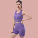 Z & D Lingerie Fitness Set Female Gym And Yoga Shorts High Waist Lift Butt Top Seamless Bojo